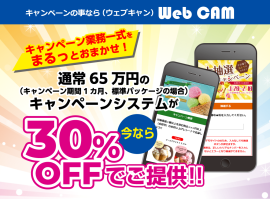 今ならキャンペーンシステム30％OFF！！