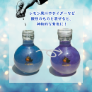 ＜ブルーからパープルへの大胆な色変化＞