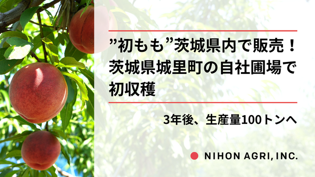 日本農業、“初もも”は茨城県内から販売開始！2024年開園の茨城県城里町の自社もも圃場*1で初収穫