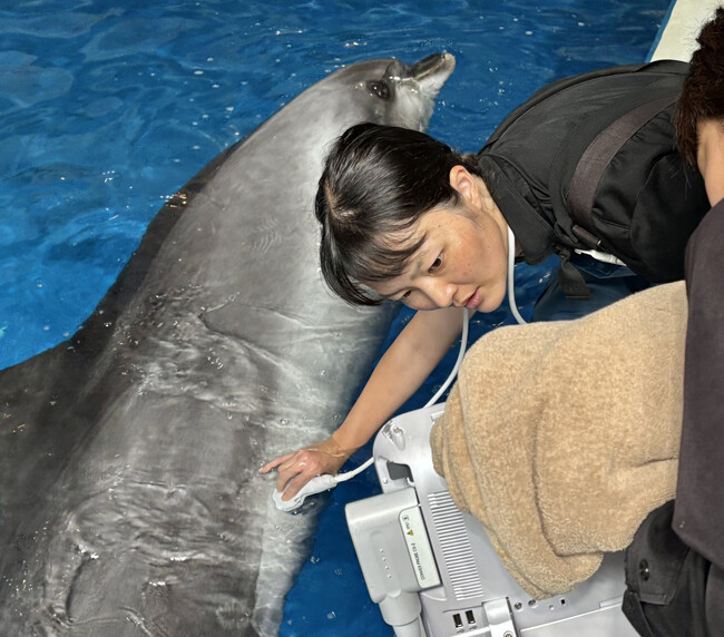 水族館獣医師の知られざる仕事に密着！「イルカからペンギン、カエルまで幅広く診察できるのが魅力」