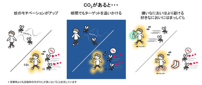 仮想空間装置の実験で、CO2が蚊の感覚を研ぎ澄ますことが明らかに