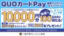 QUOカードPayキャンペーン QUOカードPayキャンペーン