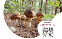 唯一無二のガストロノミーフェス「信州上田まつたけ&ワイン祭り2025」と松茸料理のフルコース&ペアリングを楽しめるプレミアムなイベント「第2回ONSEN・ガストロノミーウォーキングin信州上田」を10/5(日)に開催!