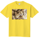 秋・大盛り松茸 秋・大盛り松茸