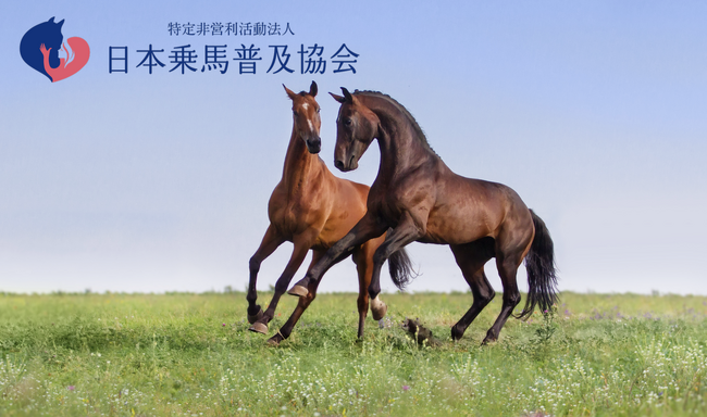 日本乗馬普及協会がＪＲＡ美浦トレーニング・センターで「１泊２日 厩舎スタッフ職場体験プログラム」を日本調教師会と共催