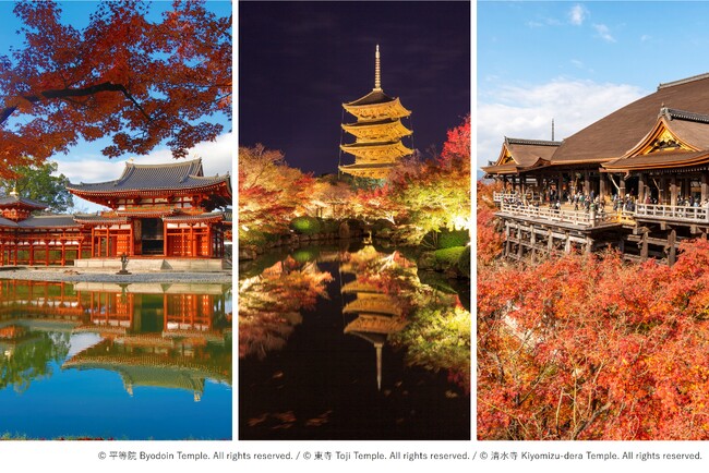 世界遺産「平等院」「東寺」「清水寺」にて1日1組限定・秋の特別拝観プライベートツアーを提供