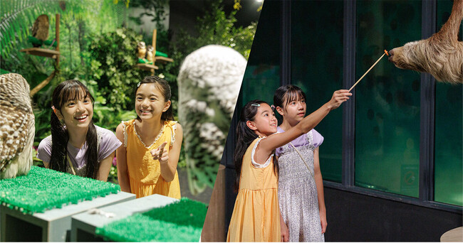 【DMMかりゆし水族館】沖縄尚学高等学校、夏の甲子園優勝おめでとう！感動をありがとう！沖縄県民限定、半額入館チケット販売期間延長を決定