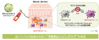 “隠れ老化”である慢性炎症の鎮静に植物でアプローチ(1)