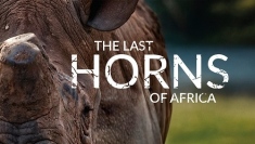 ドキュメンタリー映画『ザ・ラスト・ホーンズ・オブ・アフリカ』が、8月30日（土）、サイエントロジー・ネットワークにてプレミア放送