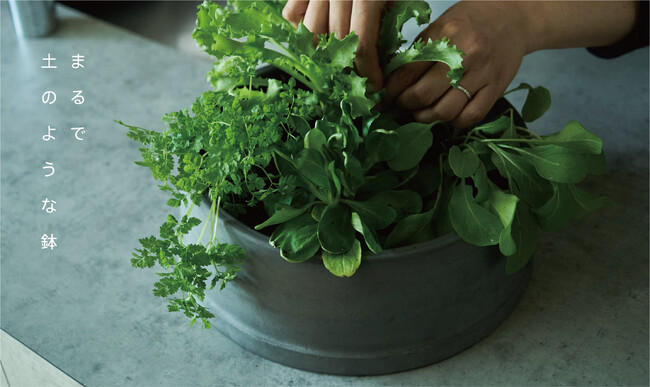 工場の廃棄物を活用した、植物の成長を促進する植木鉢で循環型社会に貢献