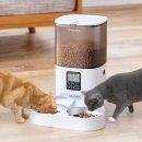 使用イメージ(猫ちゃん)