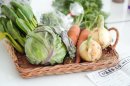 3つの種を繋ぐ農園野菜