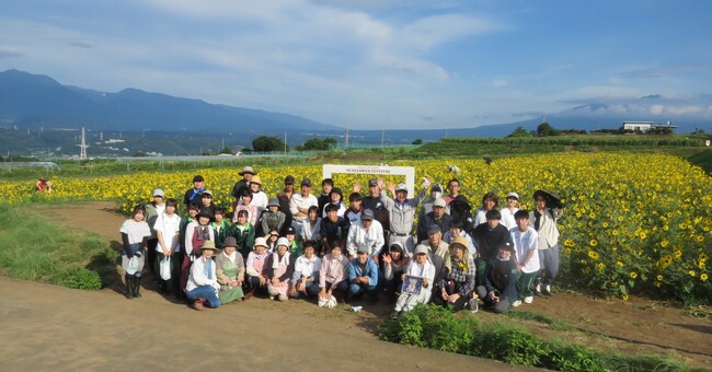 約11万人の来場者!北杜市明野サンフラワーフェス2025