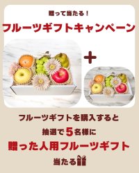 「冬のフルーツギフトキャンペーン」を10/1～12/10の期間限定で実施！贈ったものと同等のギフトを楽しめるチャンス