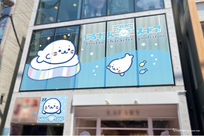 「しろたんふんわりストア」原宿竹下通りに9月5日（金）オープン