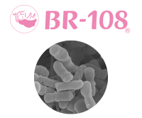 コンビ㈱、殺菌ビフィズス菌「BR-108®」で世界初(※1)の米国GRAS自己認証(※2)を取得