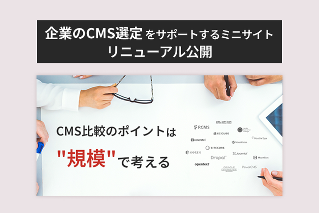 【LYZON】企業のCMS選定をサポートするミニサイトをリニューアル公開