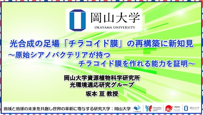 【岡山大学】光合成の足場「チラコイド膜」の再構築に新知見～原始シアノバクテリアが持つチラコイド膜を作れる能力を証明～