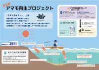 全国でのブルーカーボン生態系の回復と生物多様性の保全に向けて
アマモ再生プロジェクトを始動