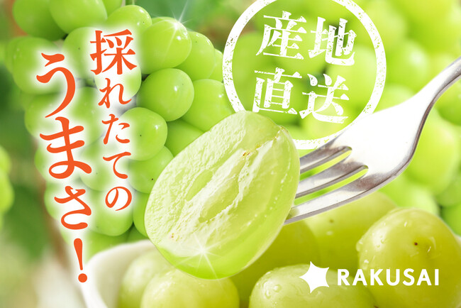 長野県産「至高のシャインマスカット」を産地直送で販売開始~専門店も認める感動の味をご家庭で~