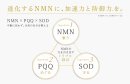 NMN・PQQ・SOD　トリプル設計