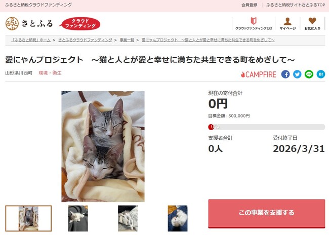 山形県川西町とさとふる、飼い主のいない猫や適正飼養が行われていない猫の不妊去勢手術費用の一部助成のため寄付受け付けを開始