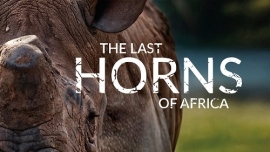 ドキュメンタリー映画『ザ・ラスト・ホーンズ・オブ・アフリカ』が、9月1日（月）、サイエントロジー・ネットワークにてアンコール放送