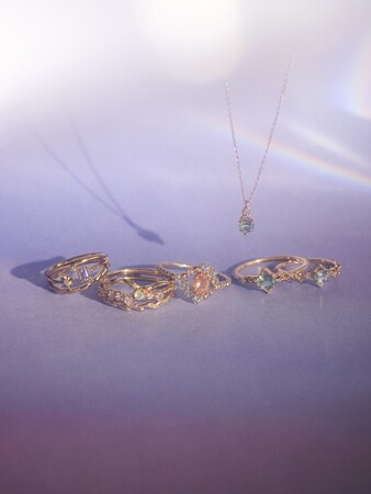 2025 WINTER COLLECTION - Pre Holiday Limited Edition -