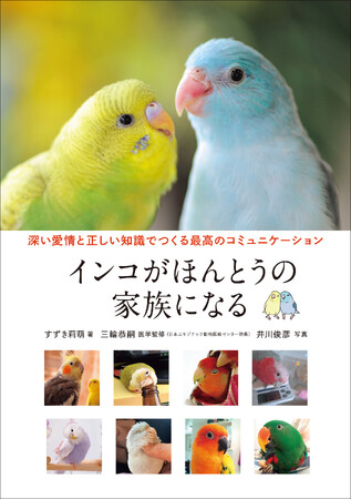 インコをわが子として接するためにする、あらゆることを正しく愛情深くお届け!