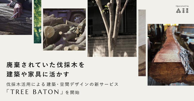 廃棄されていた伐採木を、建築や家具に活かす