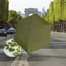 U.220/US.050 Cardamom U.220/US.050 Cardamom