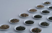 日本人が脈々と繋いできた「お茶を愉しむ心」をお伝えするコンセプトショップ「茶々水 SASUI 伊藤園」を、ニュウマン高輪に9月12日（金）オープン