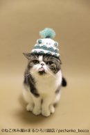 展示作品:pechanko_bocco 展示作品:pechanko_bocco