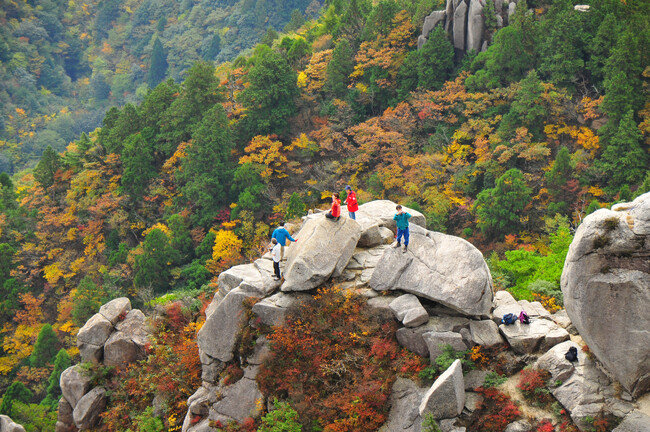 案内付きで初心者も安心!THE HIKE 鎌ヶ岳&御在所岳 紅葉登山ツアー