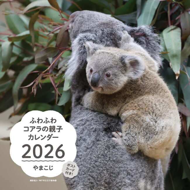 まるでぬいぐるみ！ 『ふわふわコアラの親子カレンダー 2026』がポストカード付きで発売開始