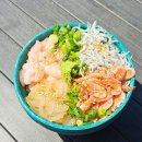 「甘えび・ヤリイカと駿河の幸」