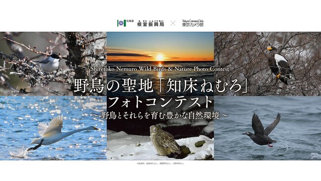 「知床ねむろ」の野鳥と自然環境をテーマとしたInstagramフォトコンテストを開催します！