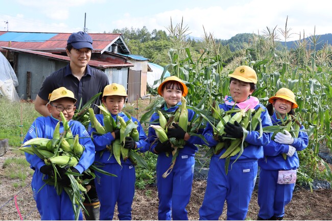 【飛騨高山・岐阜県高山市】高山市朝日小学校の児童が“幻のとうもろこし”「タカネコーン」の収穫体験!