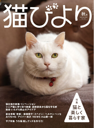 保護猫活動に取り組むみりちゃむさん、愛猫の推しグッズを編むアイパー滝沢さんが登場　猫と人が楽しく暮らせる家を取材した『猫びより』2025年秋号が9月12日（金）発売