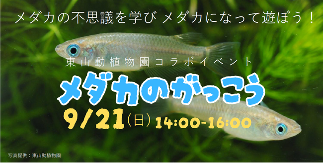 東山動植物園×瑞穂公園コラボイベント「メダカのがっこう」開催のお知らせ