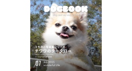 我が家のわんこの写真集が出版できる!「うちのこ写真集」シリーズ第8弾『チワワのクータロー』が発売 我が家のわんこの写真集が出版できる!「うちのこ写真集」シリーズ第8弾『チワワのクータロー』が発売