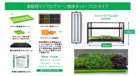 家庭用マイクログリーン栽培キット:プロトタイプ 家庭用マイクログリーン栽培キット:プロトタイプ