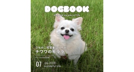 うちの愛犬の写真集がスマホからカンタンに出版できた!「うちのこ写真集」シリーズ第10弾『チワワのキララ』が発売 うちの愛犬の写真集がスマホからカンタンに出版できた!「うちのこ写真集」シリーズ第10弾『チワワのキララ』が発売