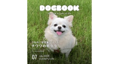 うちの愛犬の写真集がスマホからカンタンに出版できた！「うちのこ写真集」シリーズ第10弾『チワワのキララ』が発売