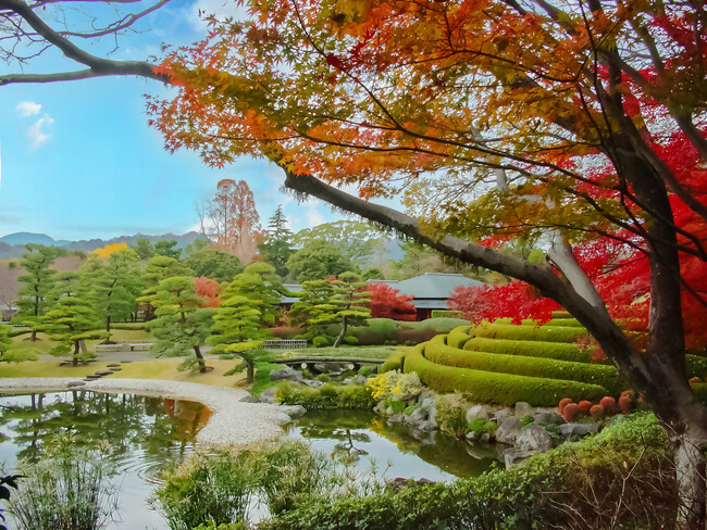静岡市の紅葉の名所・秋のイベント｜駿府城の日本庭園「紅葉山庭園」で紅葉とお茶を楽しむ！静岡市の紅葉スポットやライトアップイベントを紹介