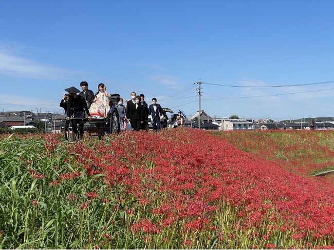 【愛知県半田市】9/20(土)矢勝川沿い1.5km・300万本の彼岸花が咲き誇る絶景の中で1年に1組だけの「彼岸花の結婚式と花嫁行列」開催します