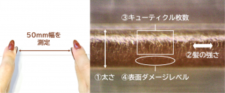日本初、毛髪キューティクル診断システムを開発 香川大学との共同研究により1本の毛髪から健康状態を定量化