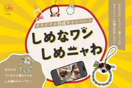 ペットしめ縄オリジナル作成キャンペーン