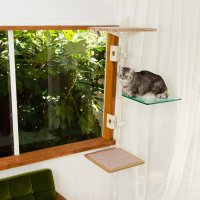 業界初！窓枠につけるキャットタワー「ねこゴロン」最大10％OFFの期間限定秋セールを開催！
