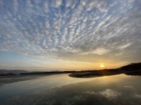 つい行きたくなる、秋の日本遺産・和歌の浦！　和歌の浦でしか味わえない、万葉の心と能楽が響き合う　10/5 万葉薪能 ＆ 10/12 和歌の聖地・ベイ オブ ポエムズが開催！